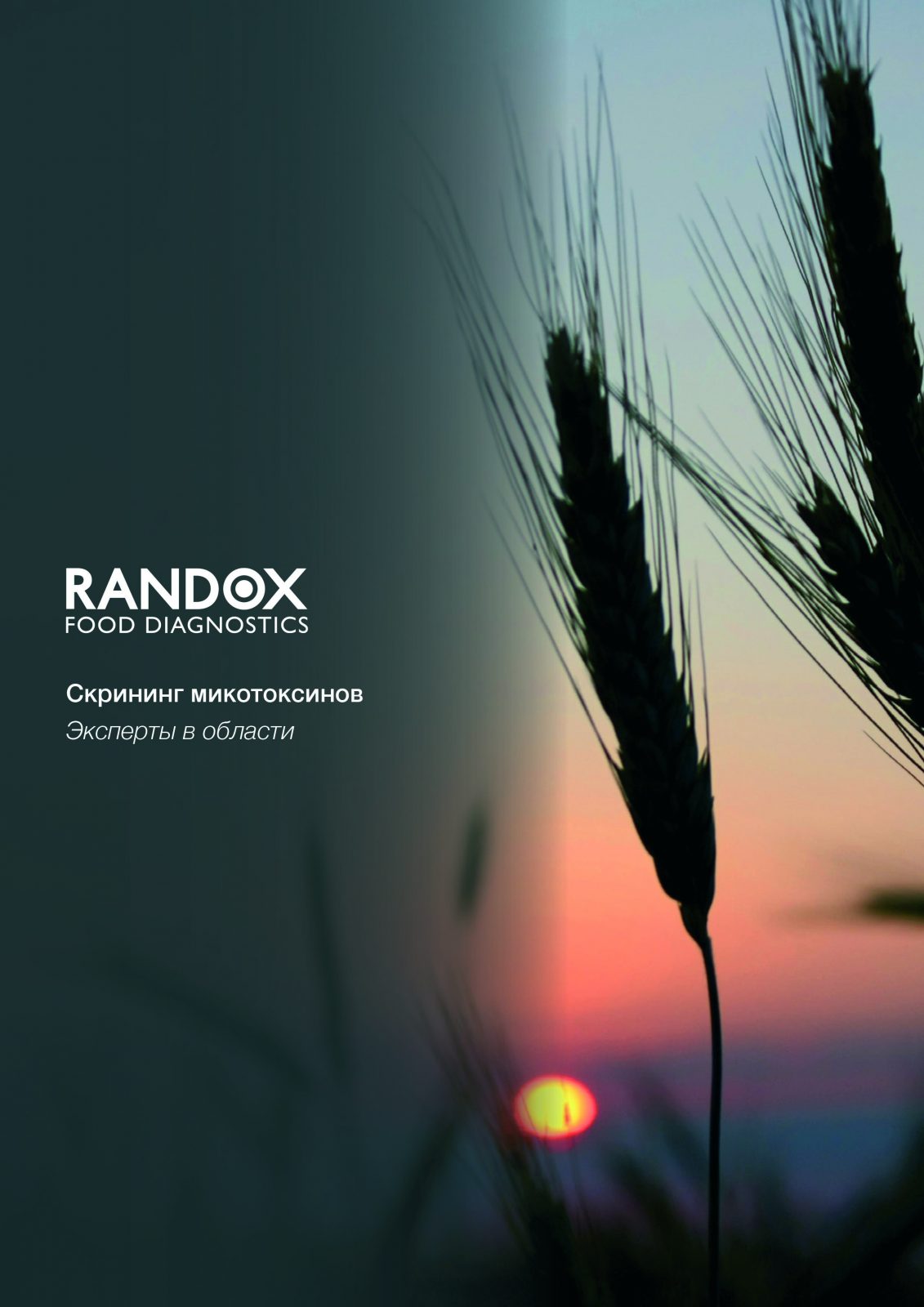 screening_mycotoxins_grain-1